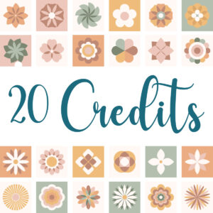 Credits Pack: 20 Credits