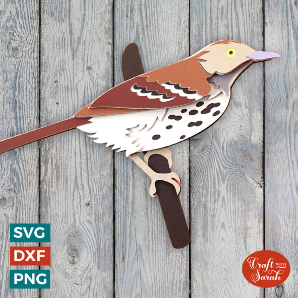Brown Thrasher Bird SVG