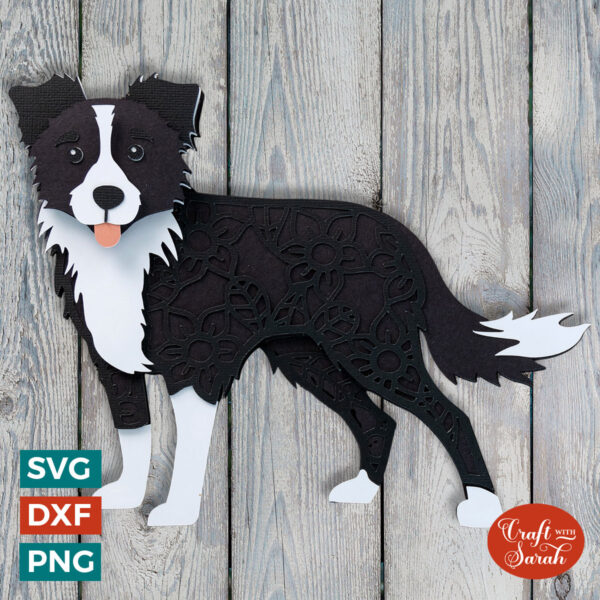 Border Collie with Floppy Ears SVG