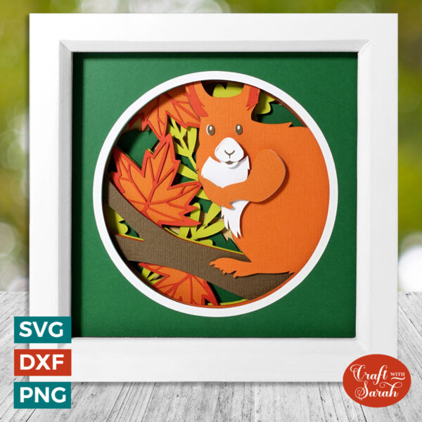 Red Squirrel Shadow Box