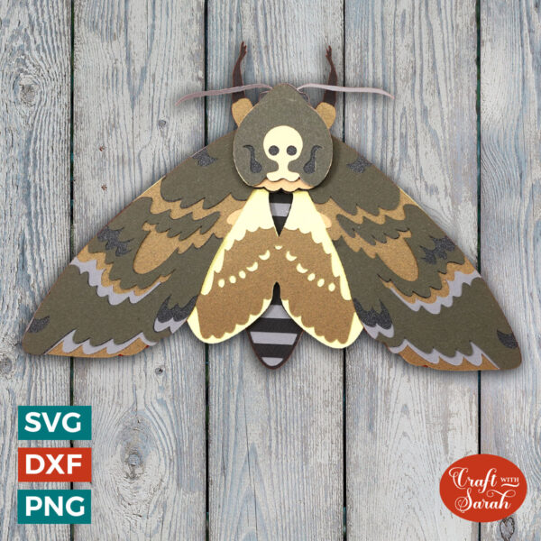 Death's Head Moth SVG