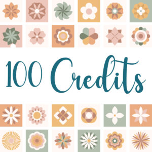 Credits Pack: 100 Credits