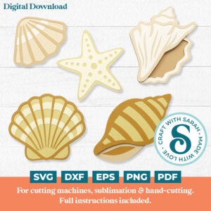Seashells SVG (Individual)