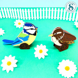 3D Bird SVGs - Wren & Blue Tit