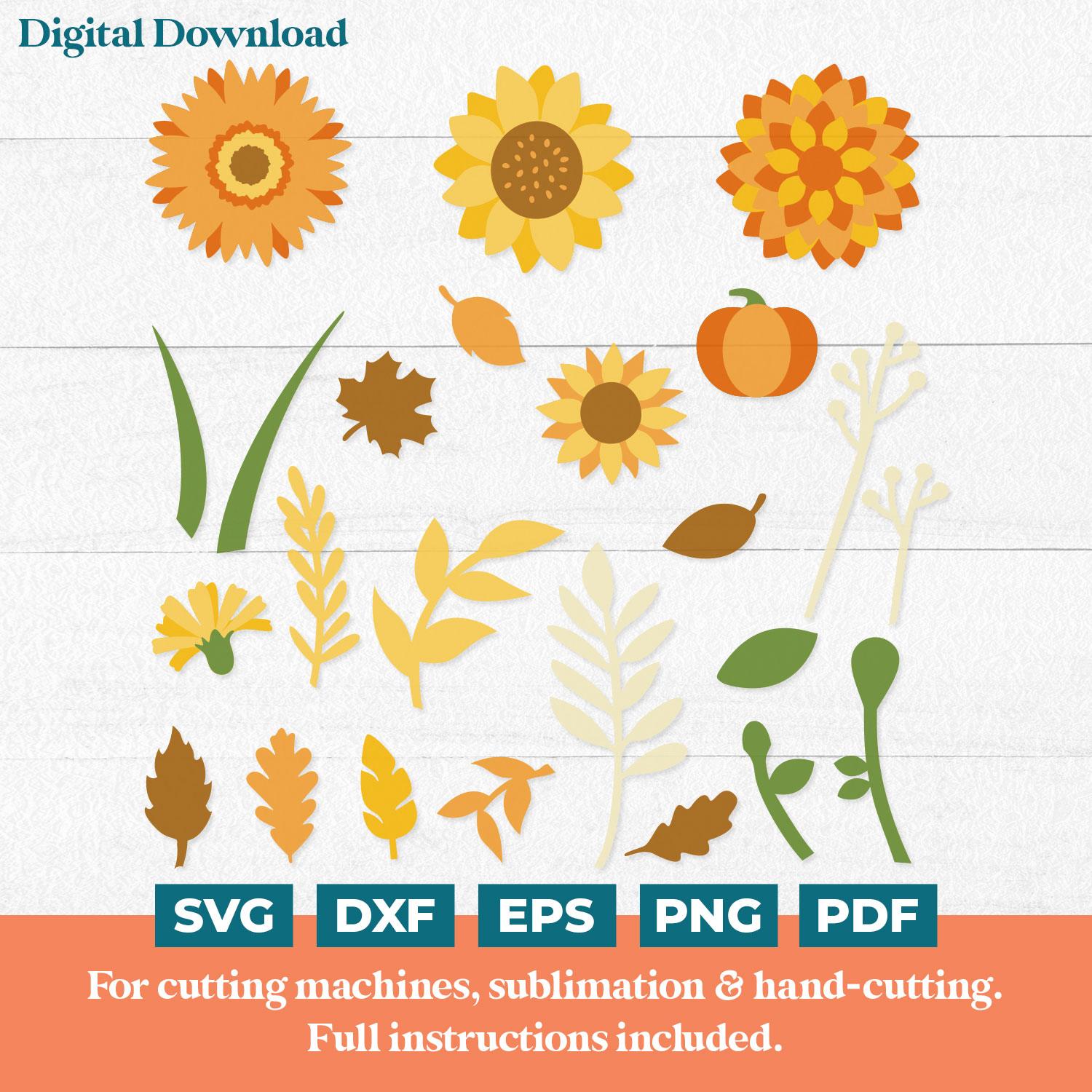 Autumn Flower & Leaf SVGs