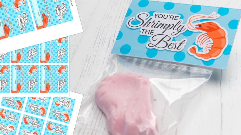 "Shrimply the Best" Funny Valentine's Gift
