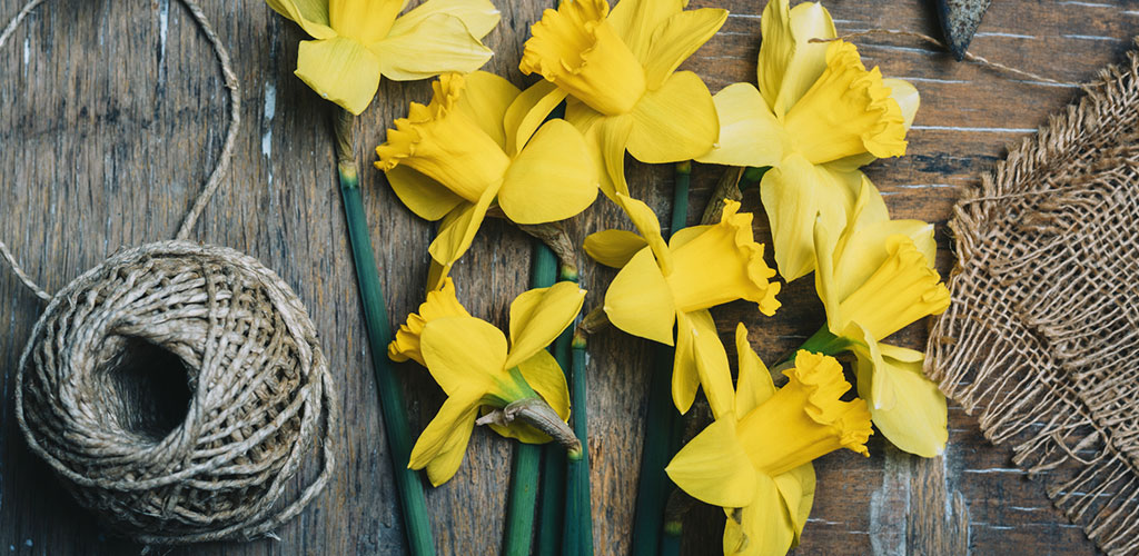 Delightful Daffodil Crafts for St David's Day