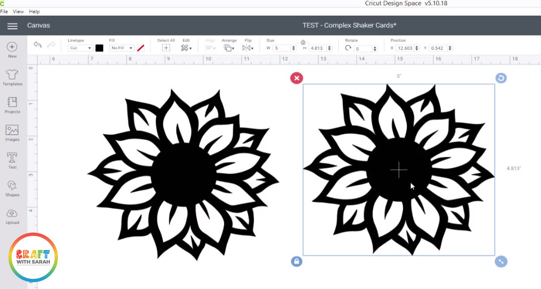 Resize and duplicate your image