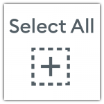 Design Space Select All Icon