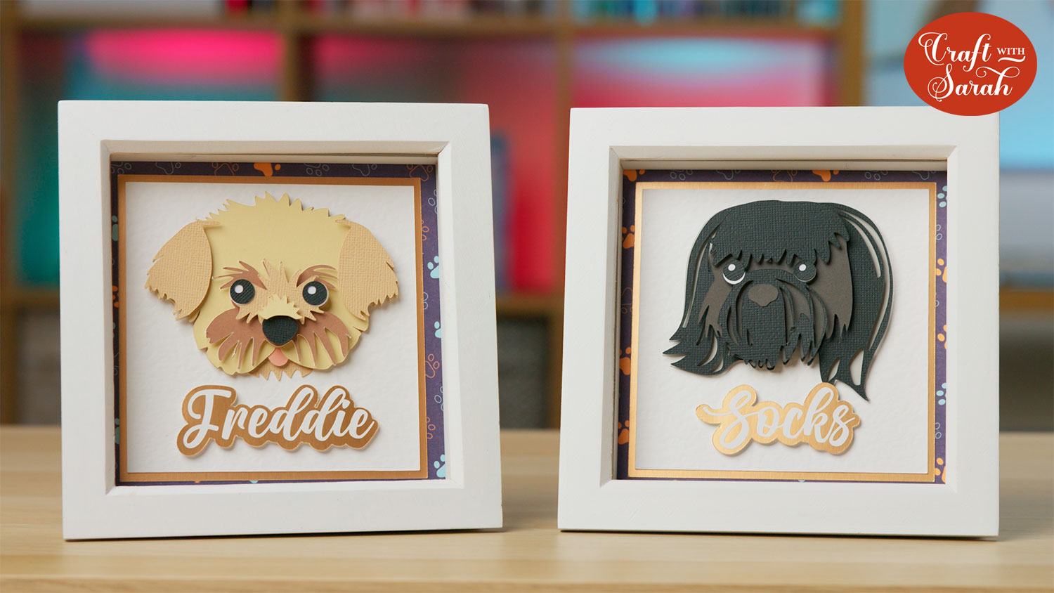 Custom pet shadow boxes