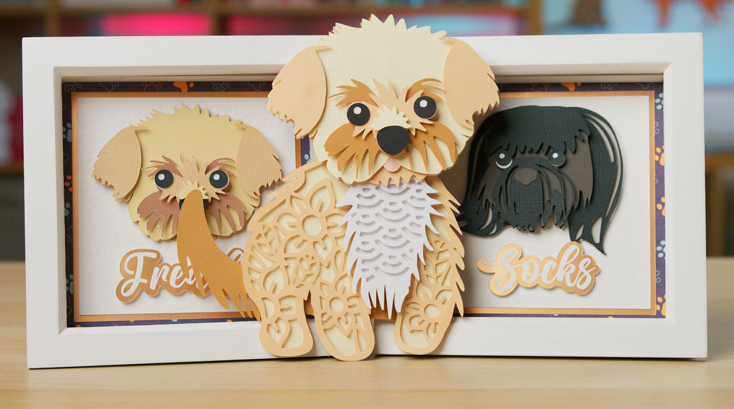 Personalized Mini Shadow Boxes of your Pet