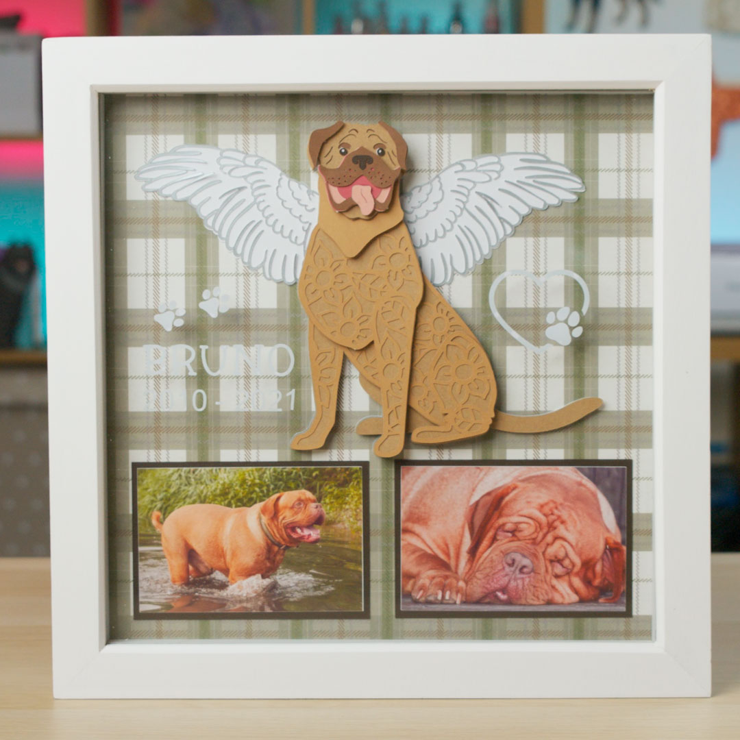 Dog memory box frame