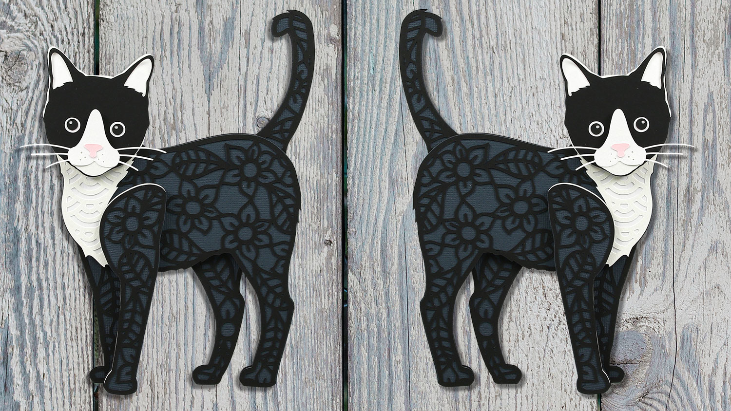 Free Cat Layered SVG | Make a Papercraft of your Cat!