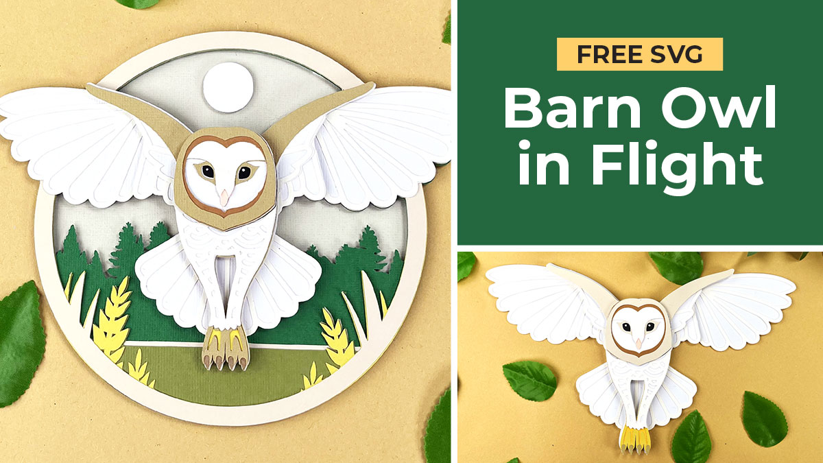 Barn Owl in Flight free SVG